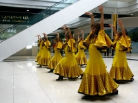 Фламенко танец «Nena coquetear»