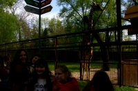 Весело проводим время в Киевском зоопарке_2