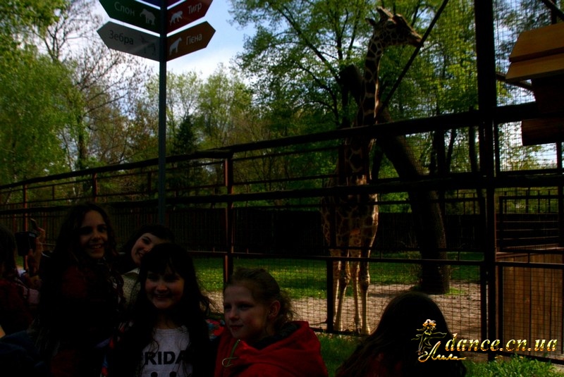 Весело проводим время в Киевском зоопарке_2